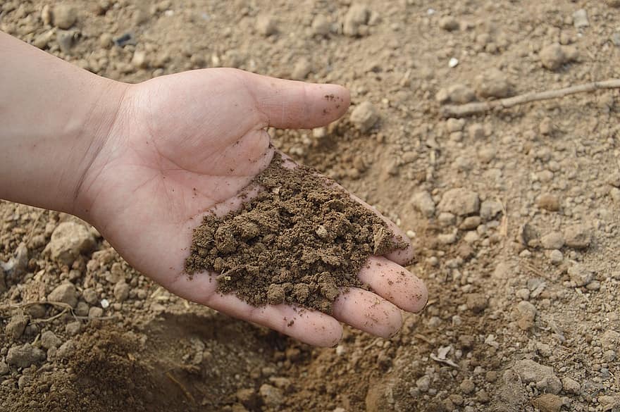 Co to jest azofoska i jakie ma zastosowanie?