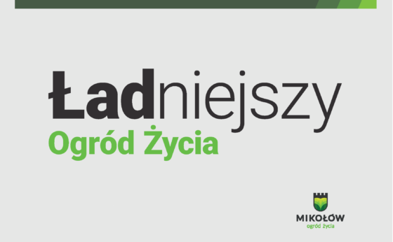 Wideokonferencja ŁADniejszy Mikołów. Kiedy się odbędzie?