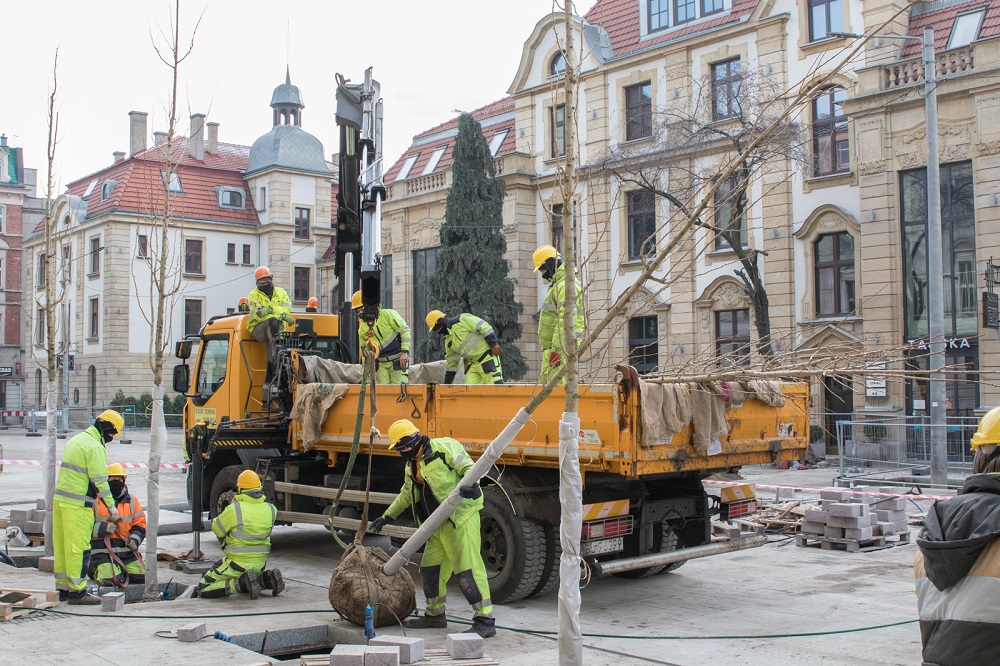Rozpoczęto zazielenianie ulicy Dworcowej