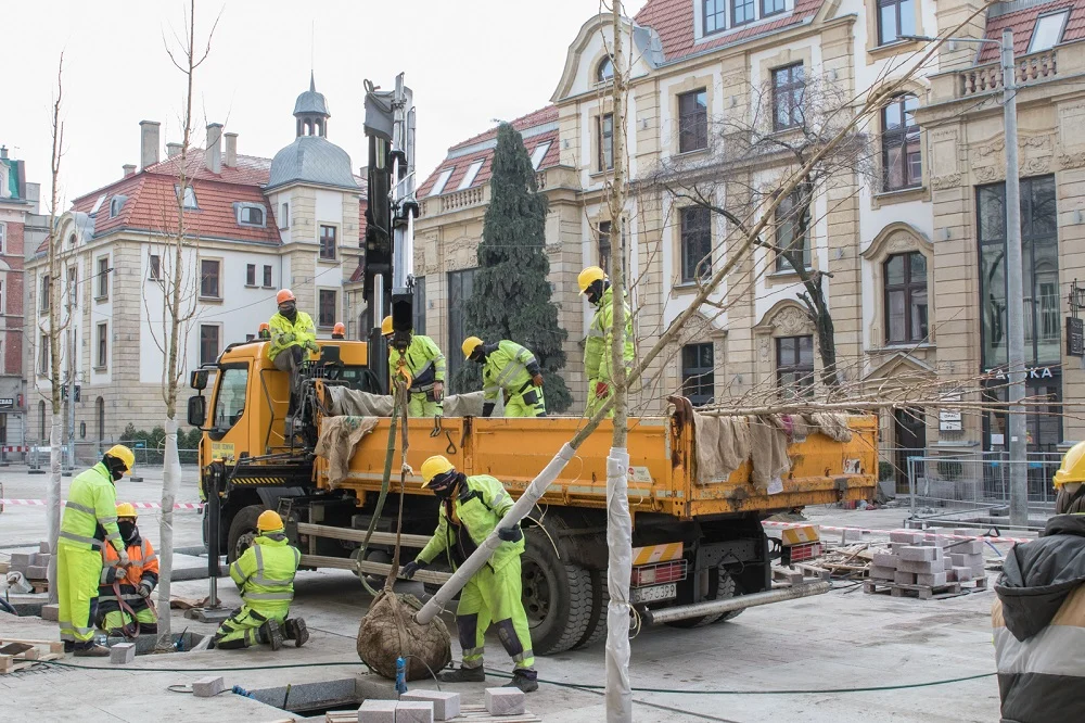 Rozpoczęto zazielenianie ulicy Dworcowej