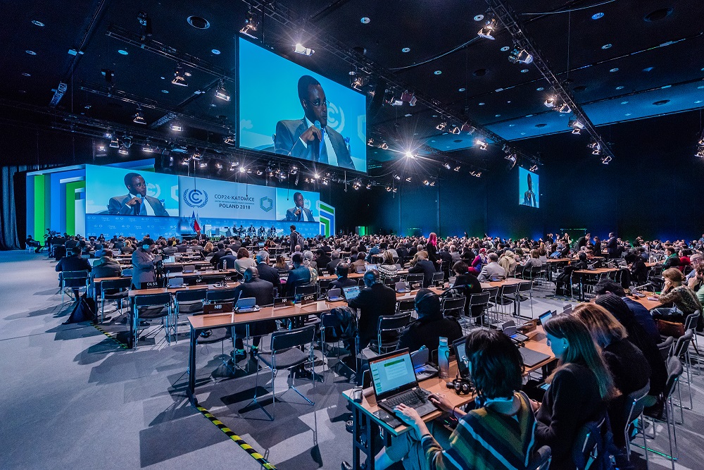 Eko działania w Katowicach i utworzenie poradnika "Przystosuj się!"