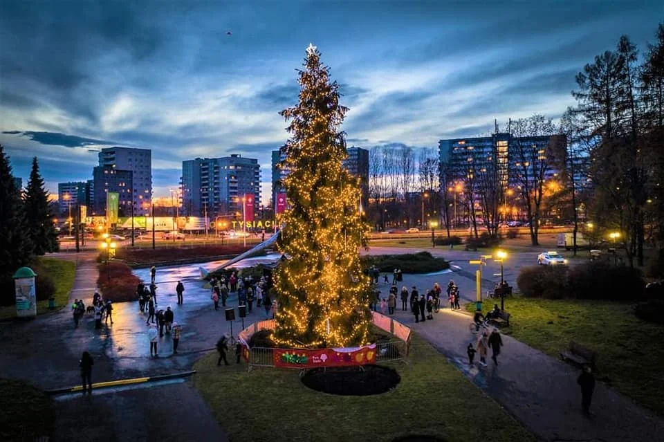 W Parku Śląskim rozbłysła świąteczna choinka