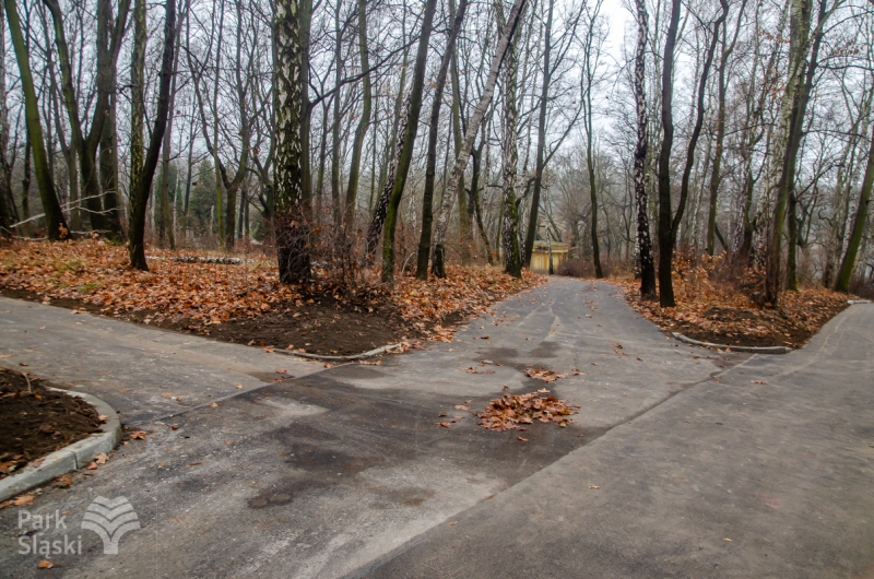 Park Śląski: Alejki przy kręgach tanecznych czekają na spacerowiczów