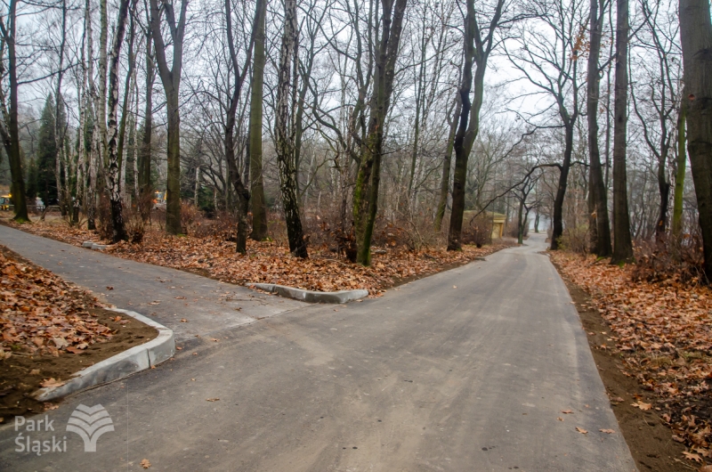 Park Śląski: Alejki przy kręgach tanecznych czekają na spacerowiczów