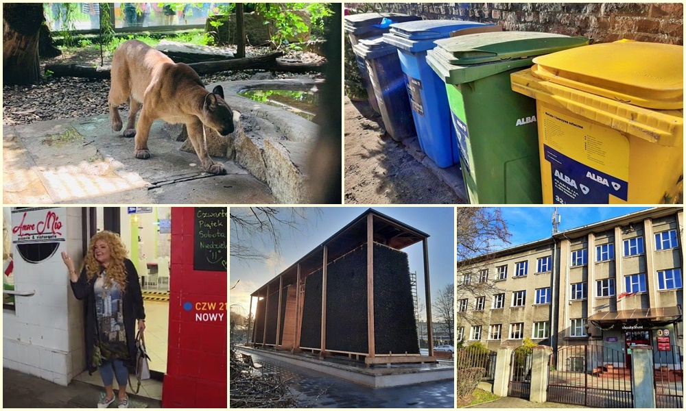 Podsumowanie 2020 roku! Zestawienie najchętniej czytanych przez Was wiadomości