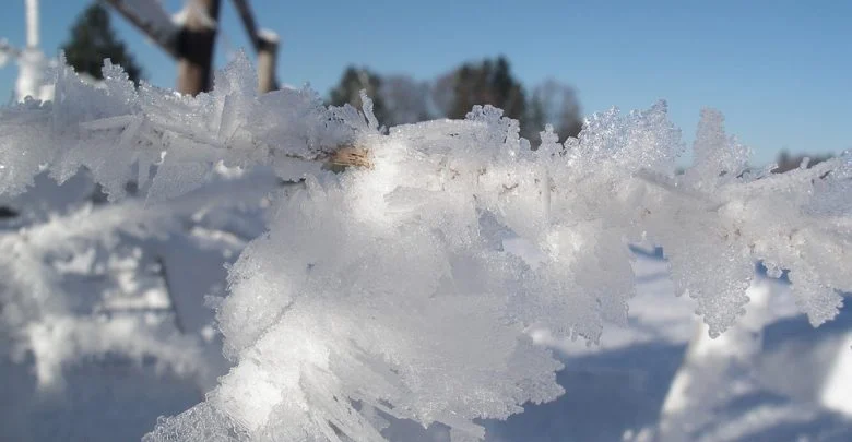 Są wytyczne dla organizatorów półkolonii w szkołach podstawowych