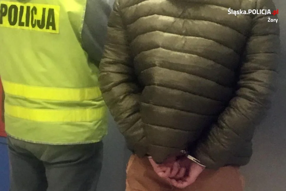 Żorscy i katowiccy policjanci zlikwidowali domową plantację konopi