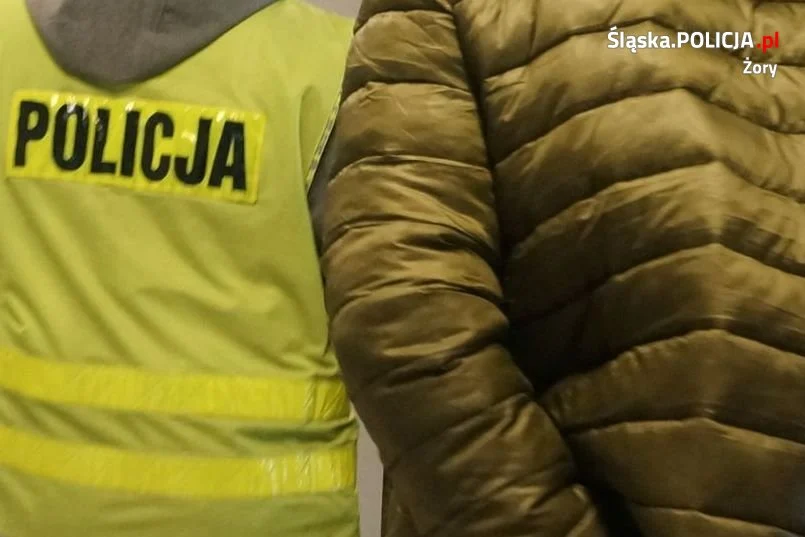 Żorscy i katowiccy policjanci zlikwidowali domową plantację konopi