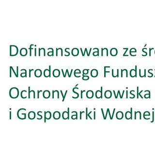 Trwają konsultacje społeczne „Strategii rozwoju elektromobilności w mieście Żory”