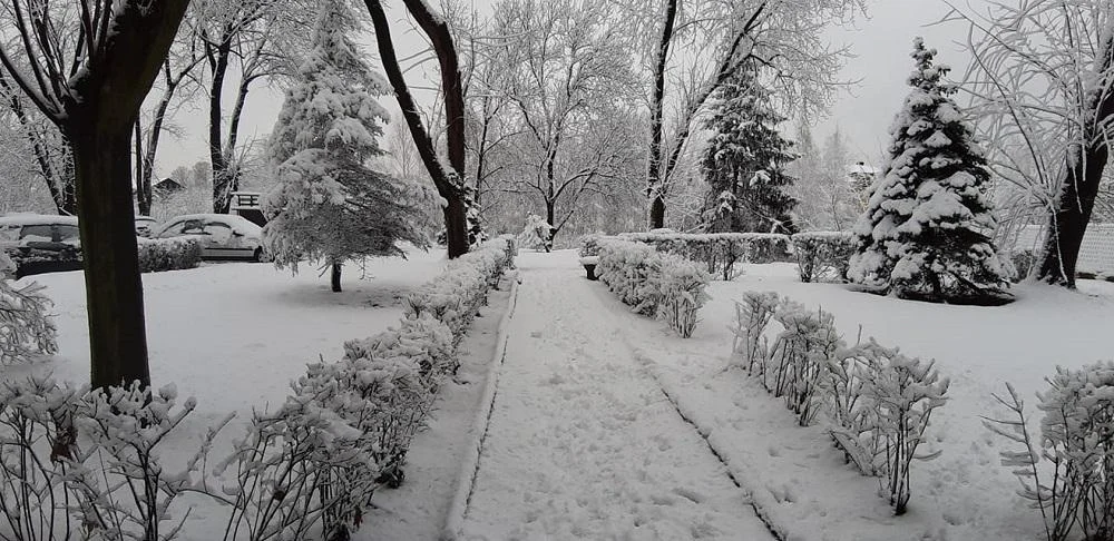 W województwie śląskim spadło 10 cm śniegu! Uważajcie na drogach