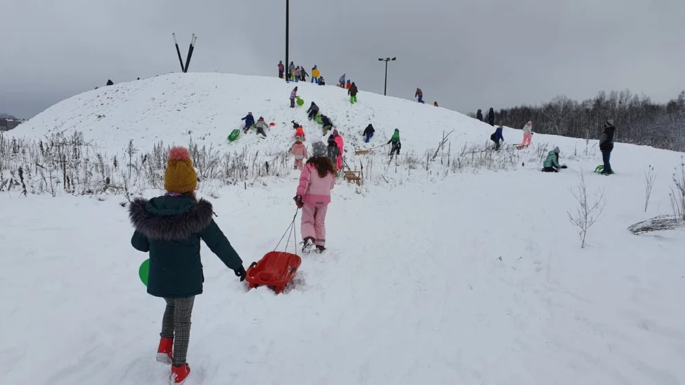 Półkolonie w SP24 5