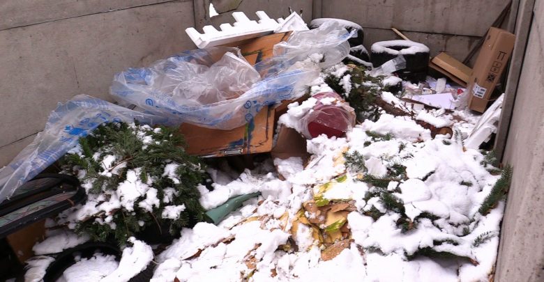 Osiedlowe śmietniki wyglądają jak las. Choinek po świętach przybywa z każdym dniem