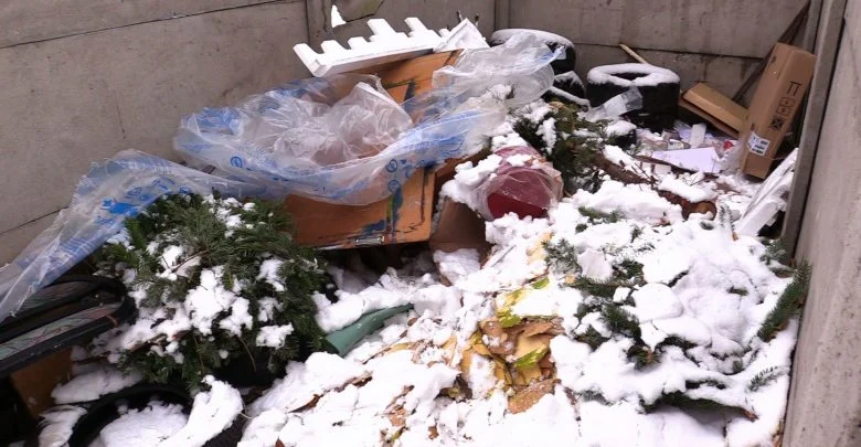 Osiedlowe śmietniki wyglądają jak las. Choinek po świętach przybywa z każdym dniem