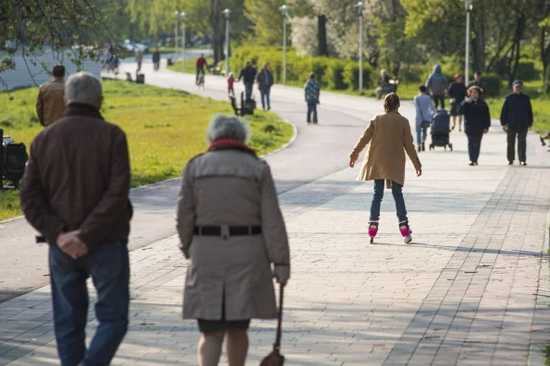 Praca dla seniora