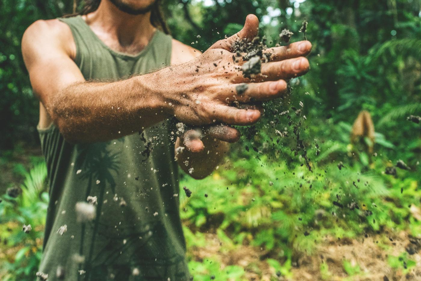 Azofoska - nawóz uniwersalny. Kiedy i jak stosować