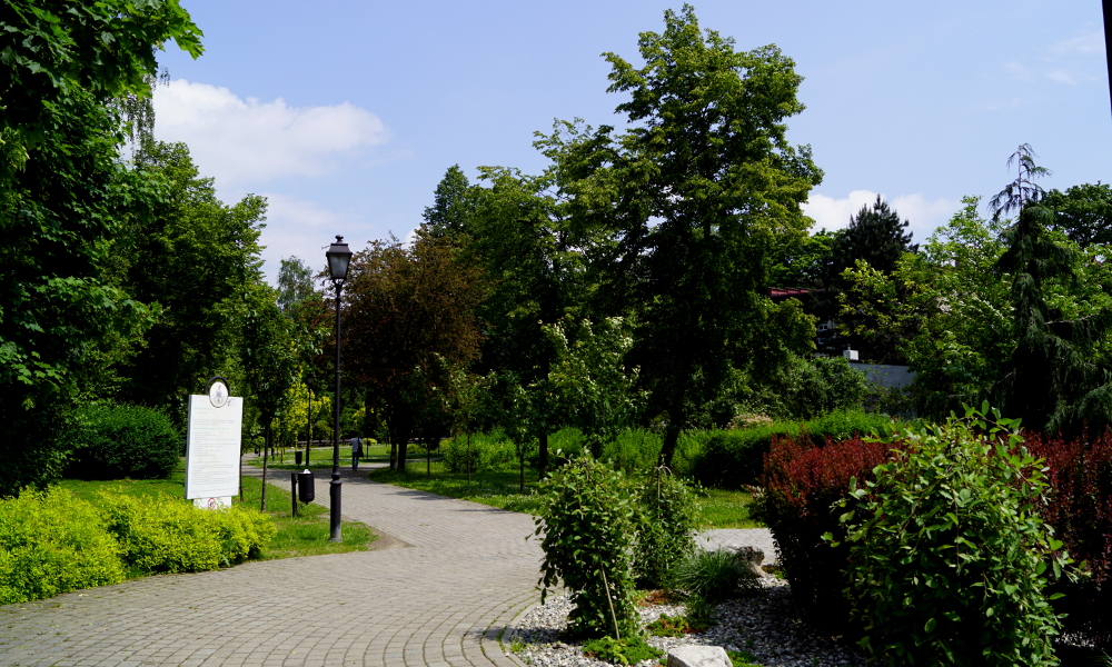 W Mikołowie powstanie „Zielony Budżet Obywatelski”? Radni wnioskują o takie rozwiązanie