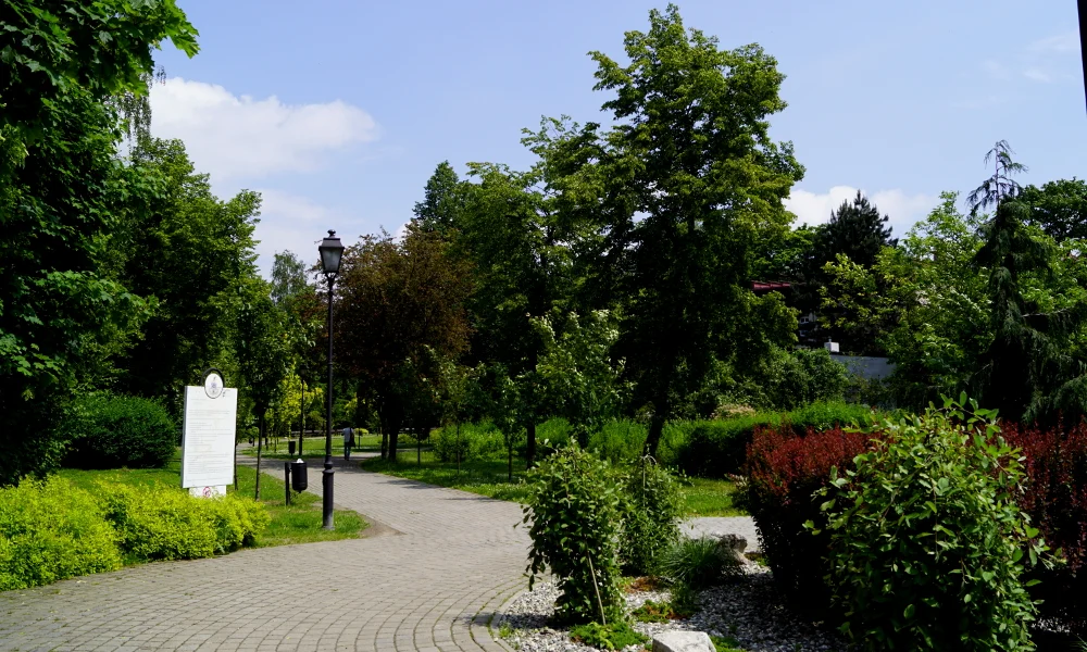 W Mikołowie powstanie „Zielony Budżet Obywatelski”? Radni wnioskują o takie rozwiązanie