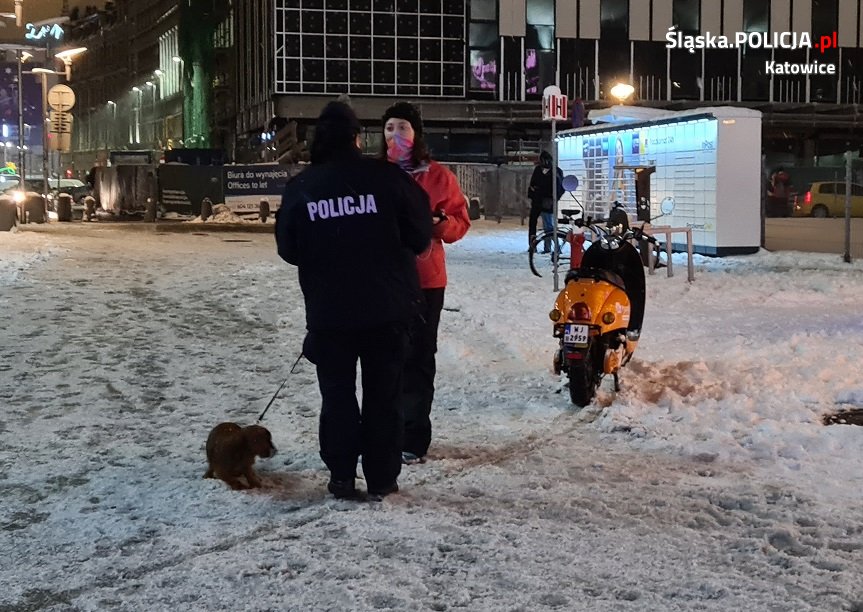 "Bądź widoczny na drodze" - noś odblaski