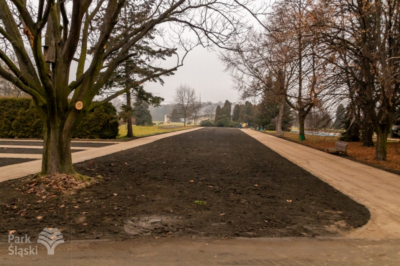 Dobiegła końca modernizacja ścieżek spacerowych wokół alei Różanej