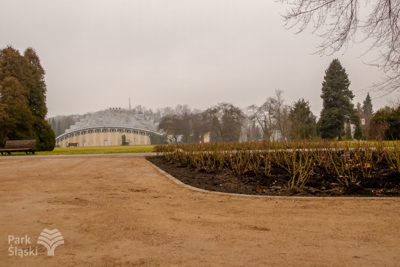 Dobiegła końca modernizacja ścieżek spacerowych wokół alei Różanej