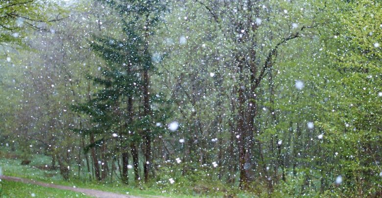 Opady śniegu, zamiecie i silny mróz. Sprawdź prognozę pogody