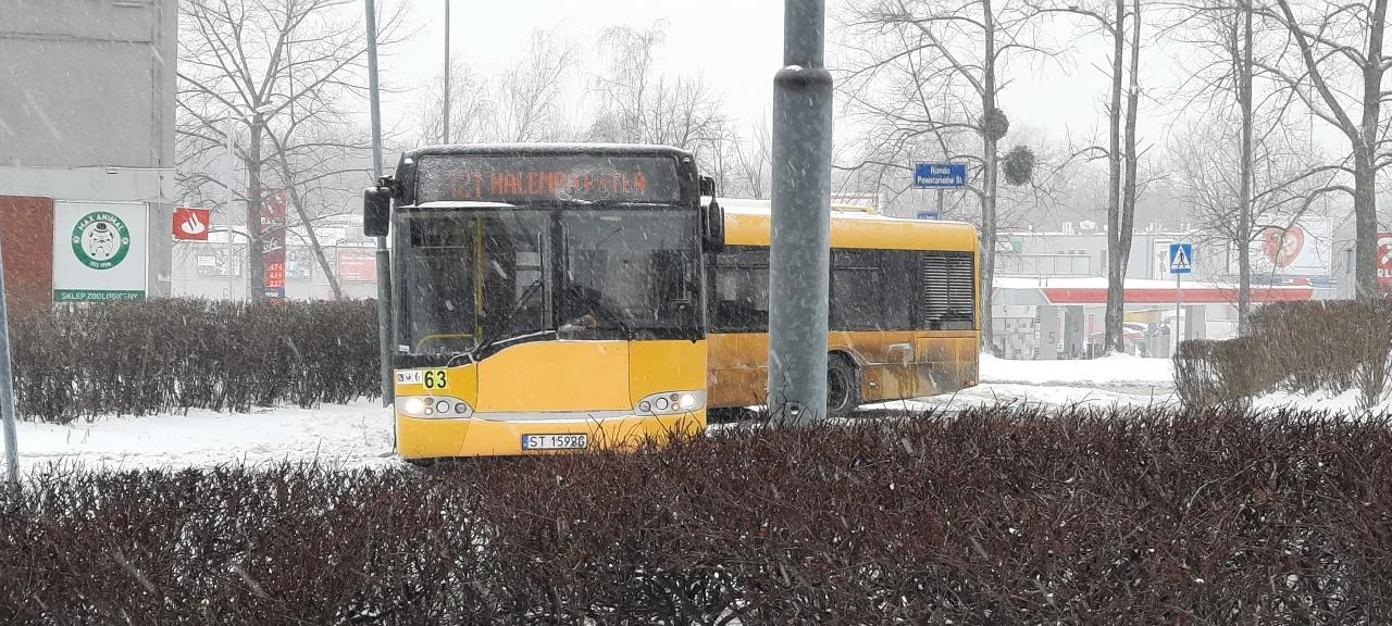 Atak zimy na Śląsku 4