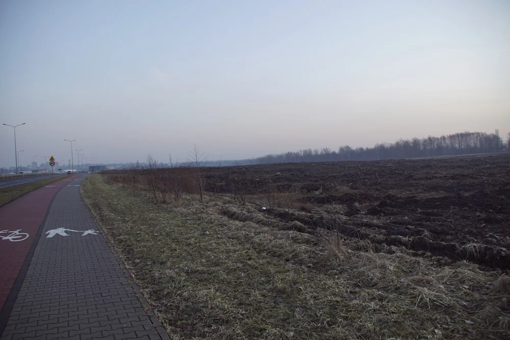 Rozpoczęła się realizacja Panattoni Park Ruda Śląska III