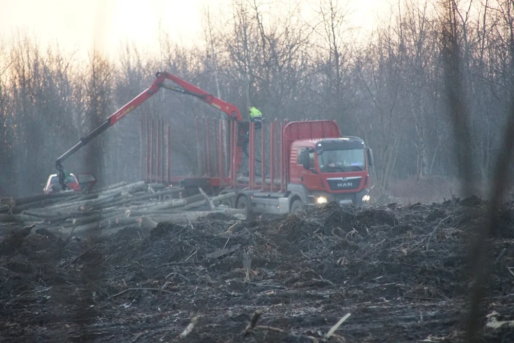 Rozpoczęła się realizacja Panattoni Park Ruda Śląska III