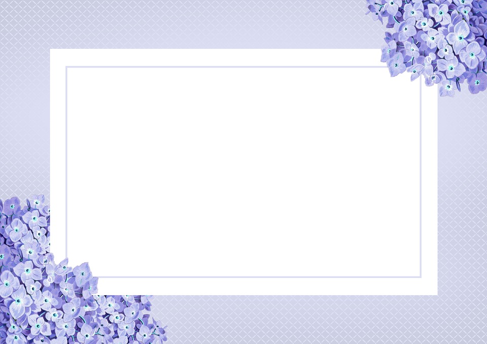 Certyfikat Szkoły Promującej Zdrowie dla SP 16