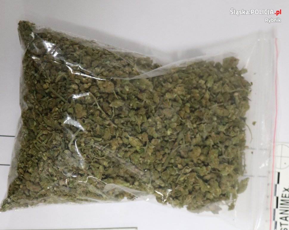 Kryminalni z Rybnika przejęli znaczną ilość narkotyków
