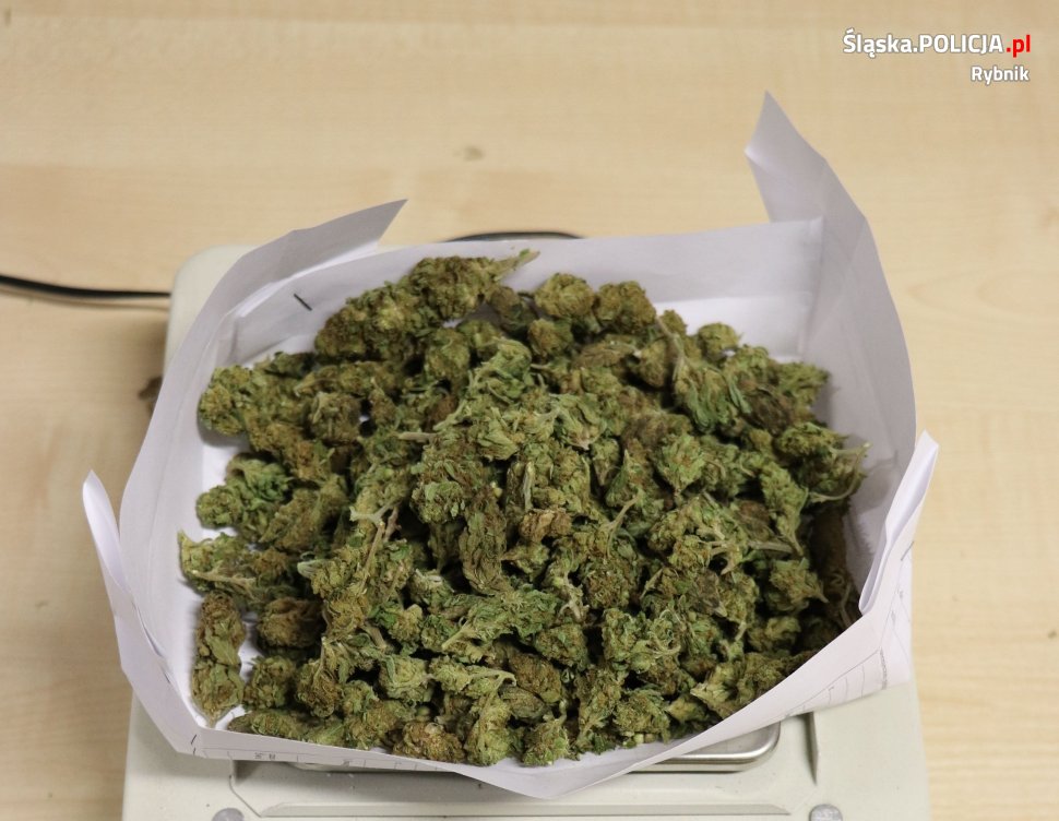 Kryminalni z Rybnika przejęli znaczną ilość narkotyków