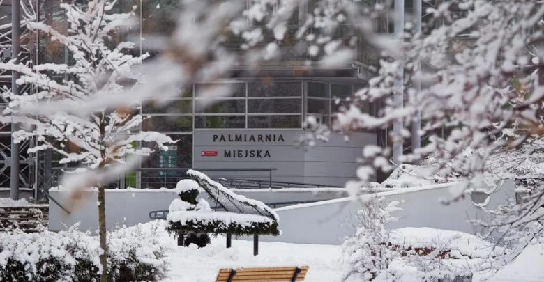 Palmiarnia w Gliwicach wciąż zamknięta, ale szykuje się niespodzianka na otwarcie