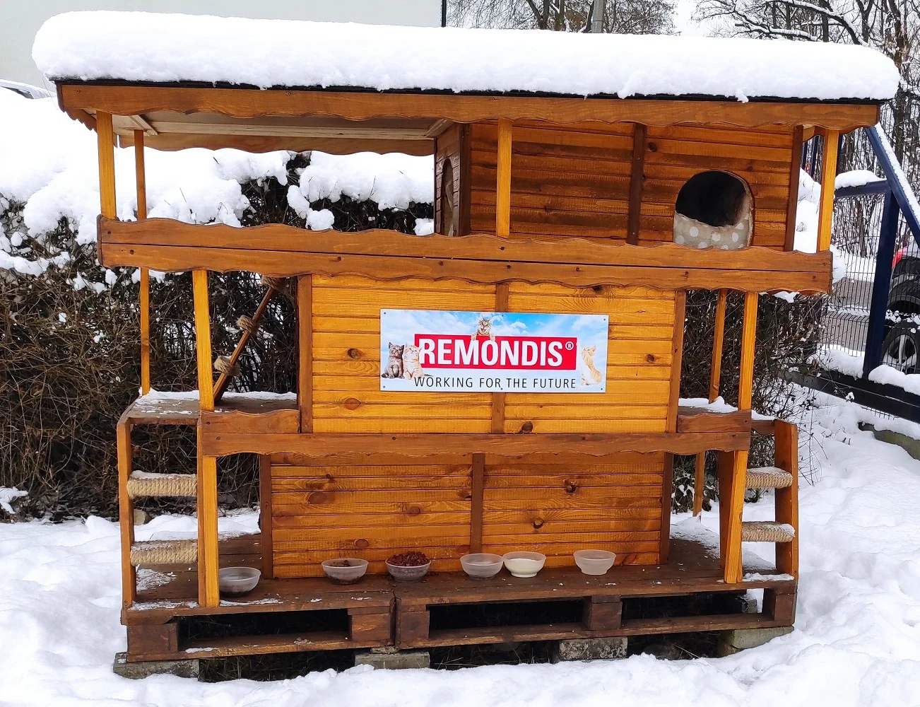 Remondis MPGO Sosnowiec pomaga zwierzętom. Na terenie bazy zbudował domki dla kotów