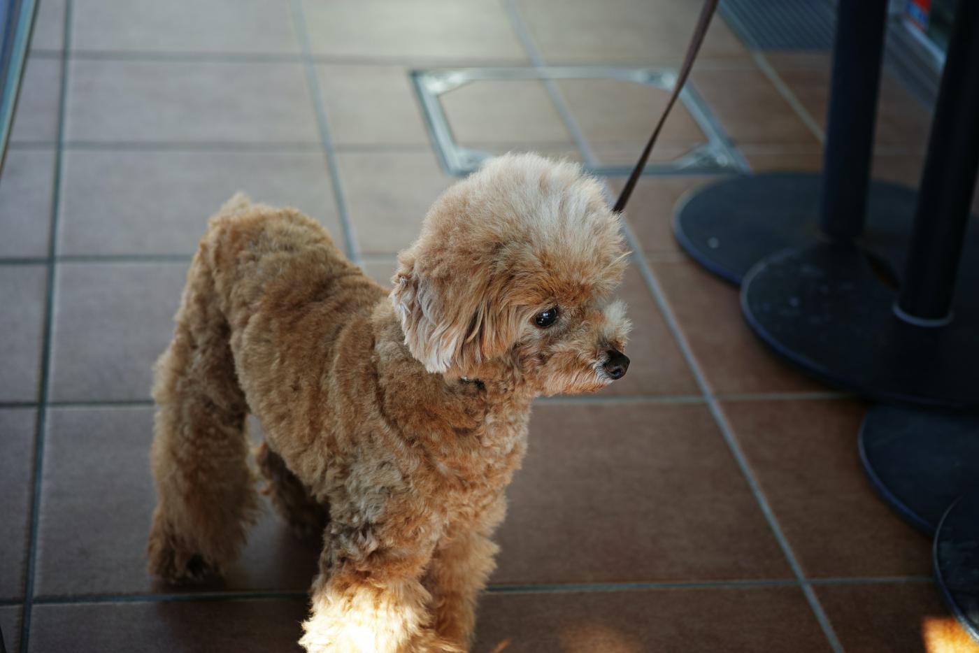 Kiedy nasz pupil ma problem ze wzrokiem