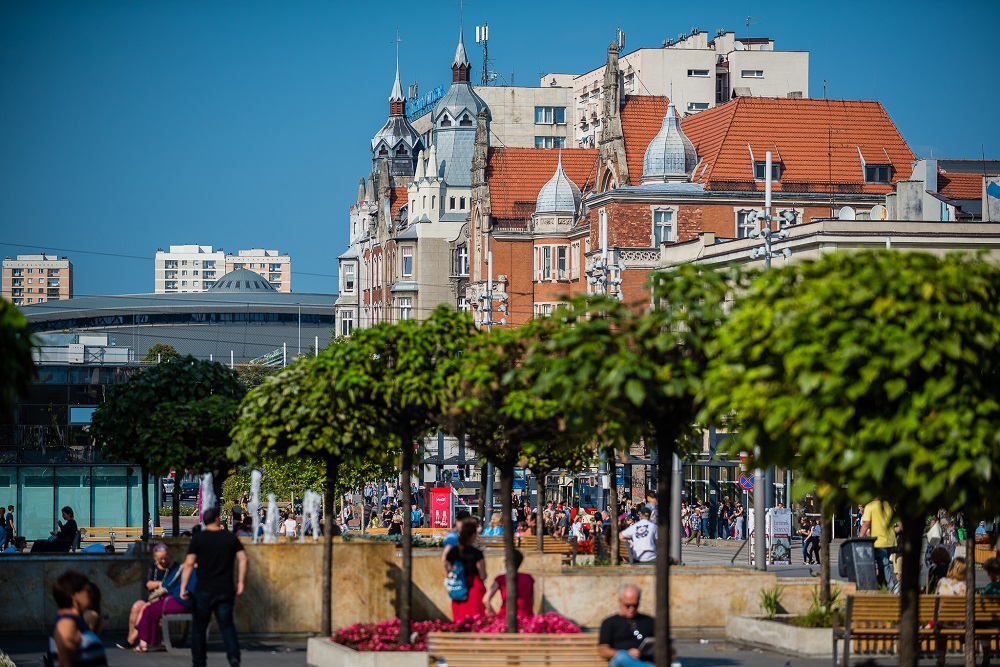 Wiśnie, klony i szlachetne krzewy ozdobią śródmieście Katowic.