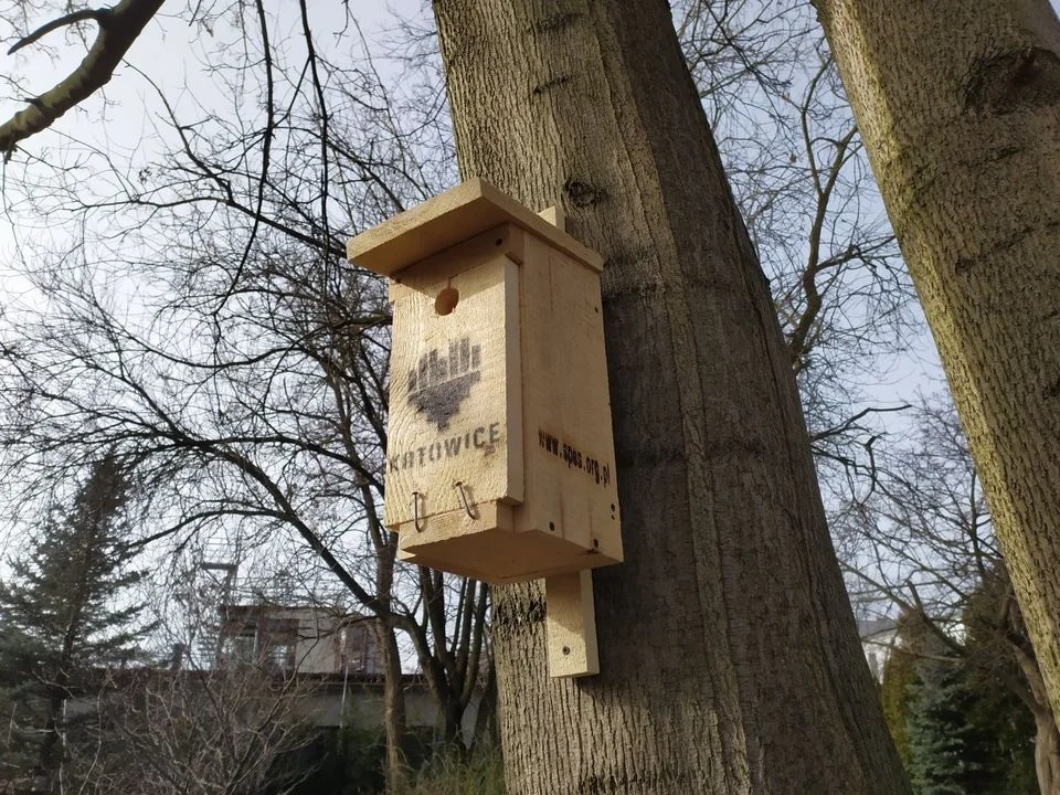 WieszaMy budki dla dziuplaków w Katowicach