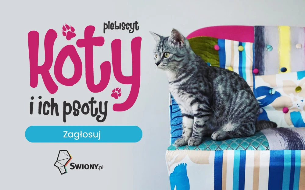 Wyniki plebiscytu Koty i ich psoty - znamy już najfajniejszego kota Świętochłowic!