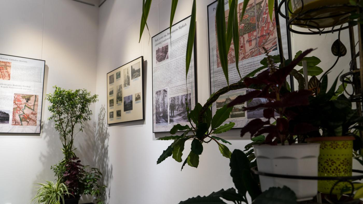 Jak wyglądały parki w przedwojennym Zabrzu? Dowiesz się w Muzeum Miejskim