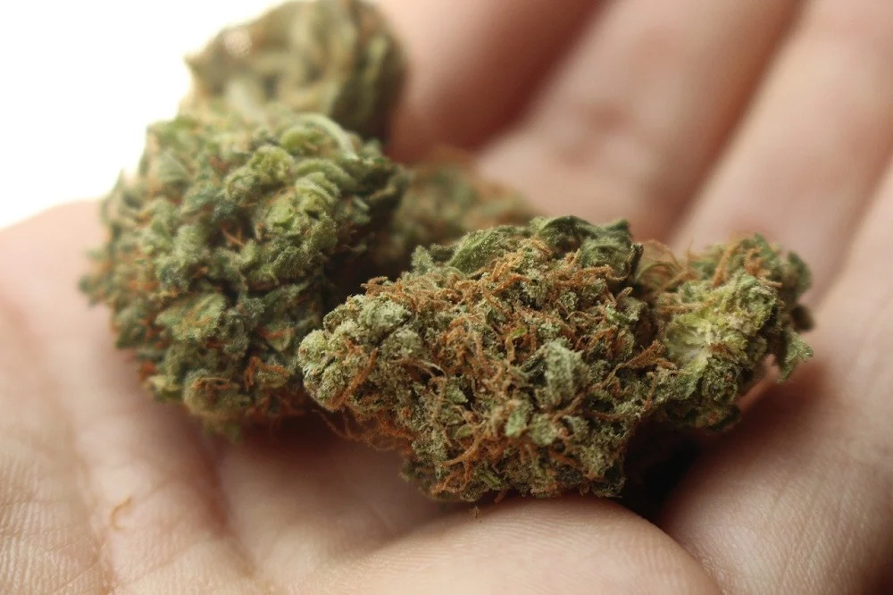 Wpadł z narkotykami podczas rutynowej kontroli