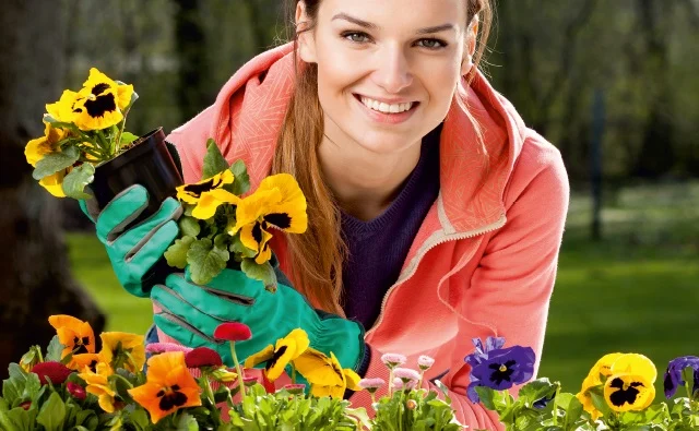 Castorama Bytom rozdaje bratki. Zbiórka elektrośmieci już w najbliższy weekend