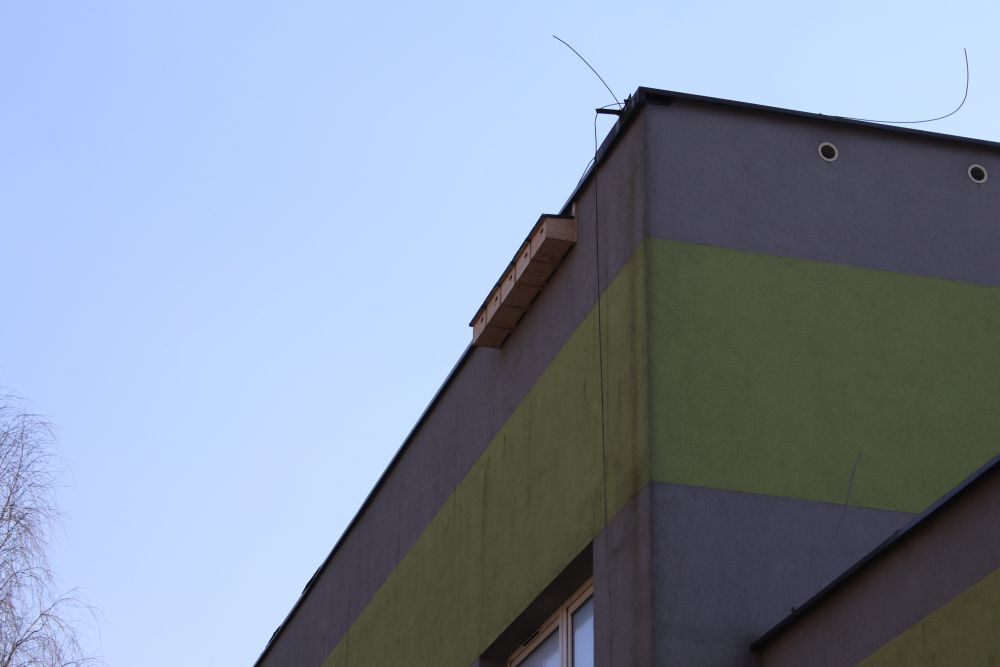 Budki lęgowe dla ptaków jerzyków