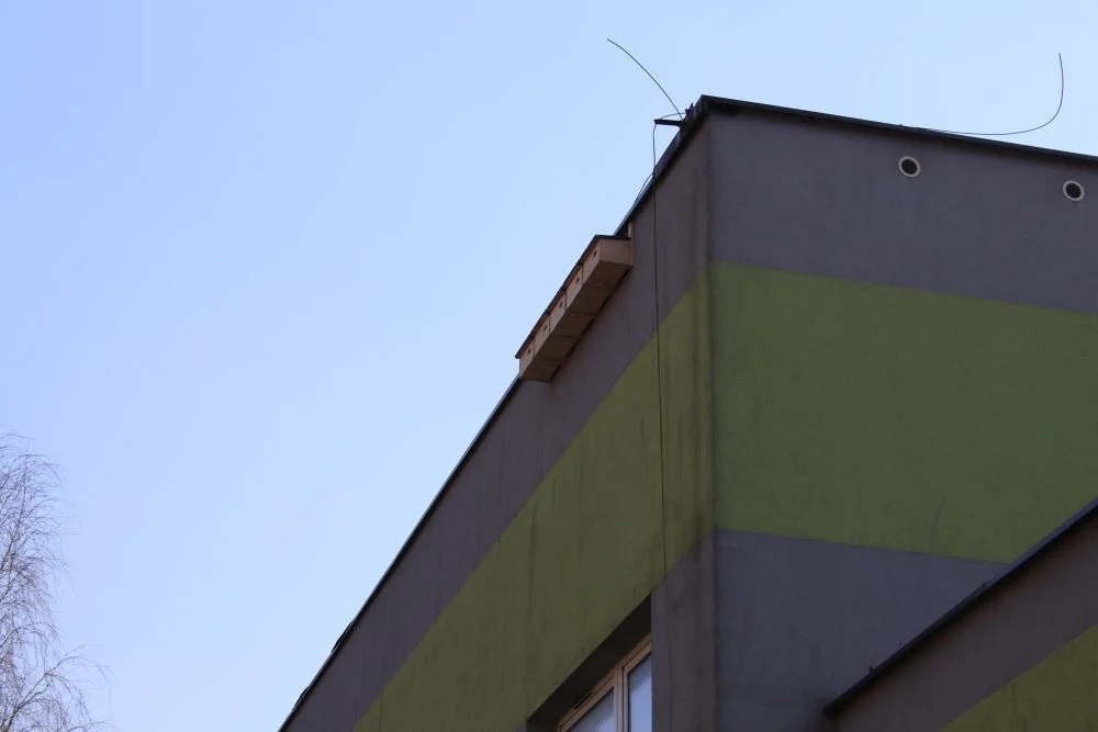 Budki lęgowe dla ptaków jerzyków