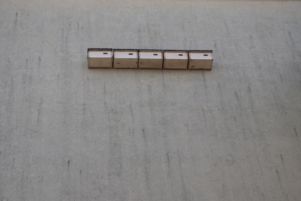 Budki lęgowe dla ptaków jerzyków