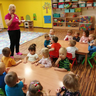 Niepubliczny Żłobek Gryfne Bajtle