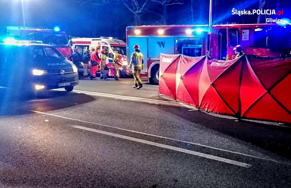 Policja: Tragedia na DK88, nie żyje nastolatek