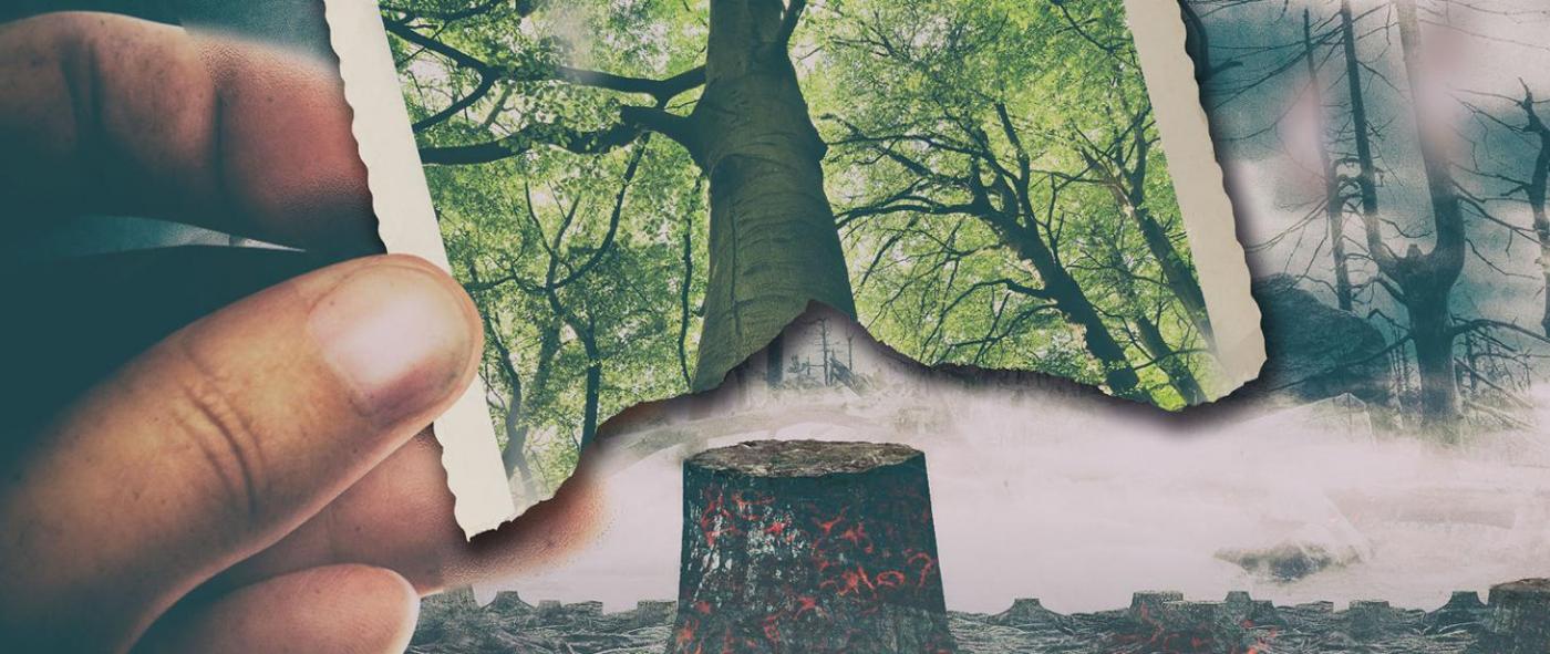 Trwa kampania "STOP pożarom traw"