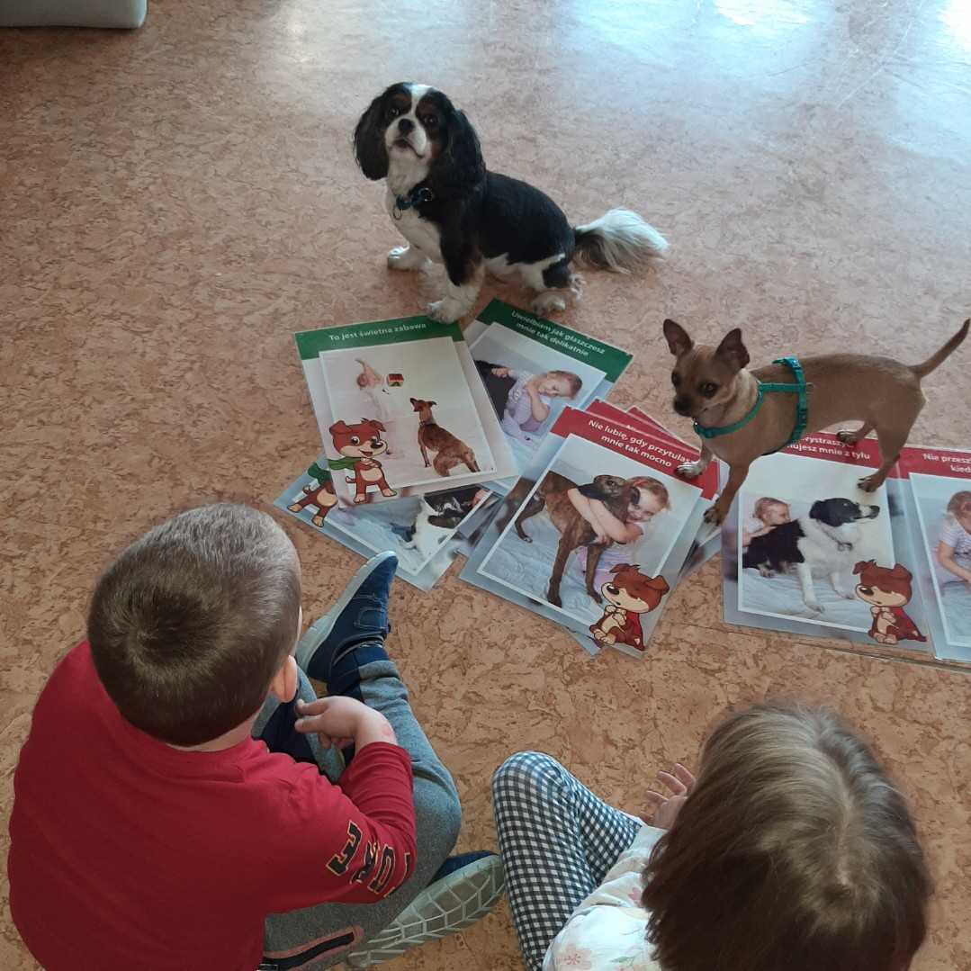 Zaspokajanie specjalnych potrzeb i marzeń świętochłowickich przedszkolaków