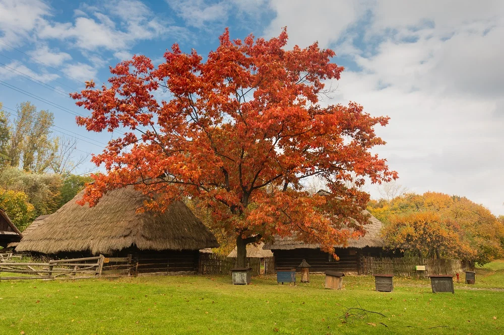 Chorzowski skansen dostał fundusze na renowację pięciu obiektów