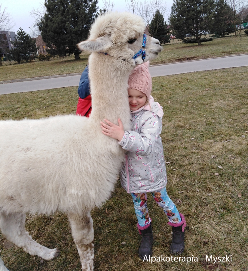 „Przez zabawę do nauki”, czyli alpaki odwiedzają przedszkolaki
