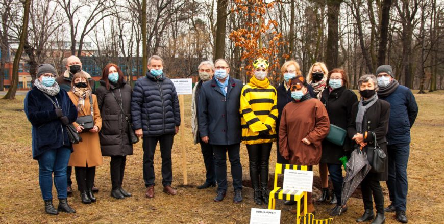 W parku hutniczym zasadzono buk nazwany na cześć Janoscha